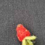 wet-felting_20210306_145244